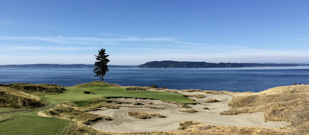 Chambers Bay Golf Course, Lone Fir