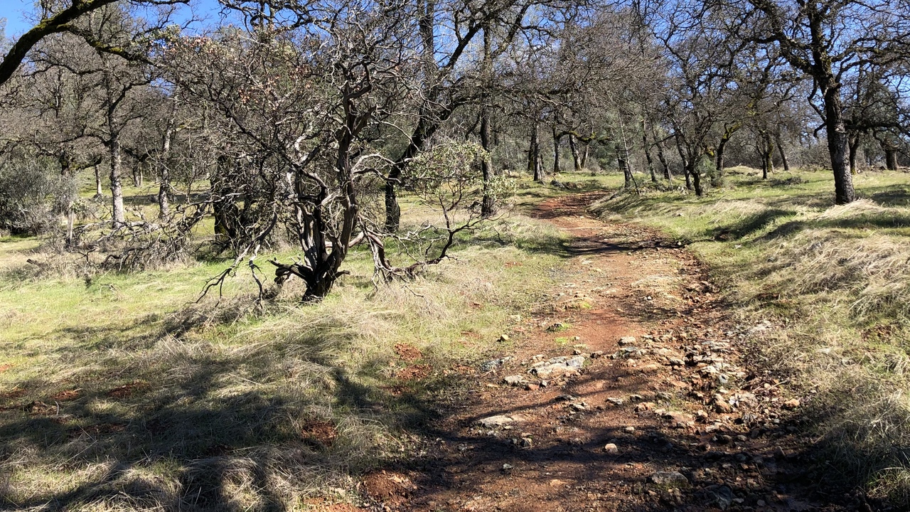 Western States Trail near No Hands Bridge